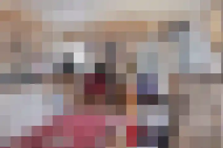 Platte Driedijk 12 Hoogvliet Rotterdam thumbnail 12