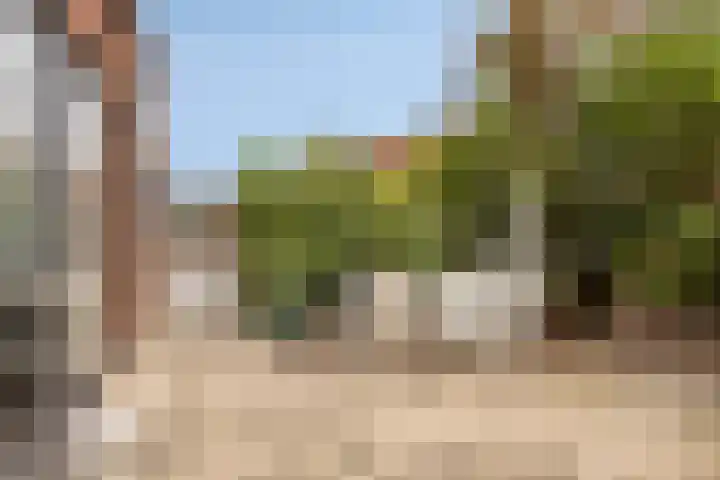 Platte Driedijk 12 Hoogvliet Rotterdam thumbnail 14