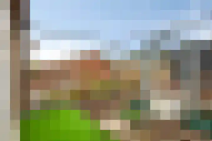 Platte Driedijk 12 Hoogvliet Rotterdam thumbnail 15