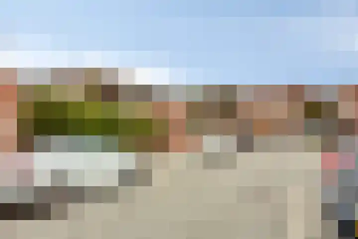 Platte Driedijk 12 Hoogvliet Rotterdam thumbnail 17