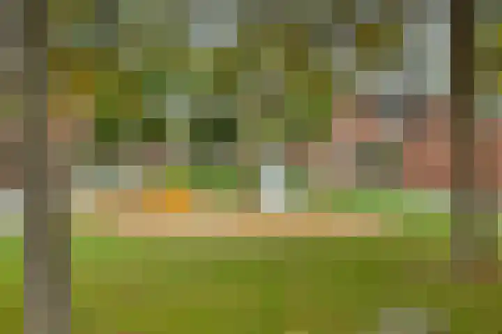 Platte Driedijk 12 Hoogvliet Rotterdam thumbnail 19