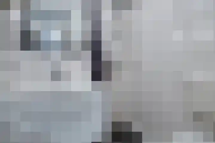 Platte Driedijk 12 Hoogvliet Rotterdam thumbnail 9