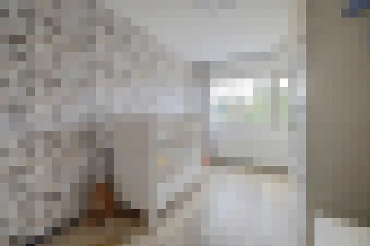 Platte Driedijk 63 Hoogvliet Rotterdam thumbnail 19