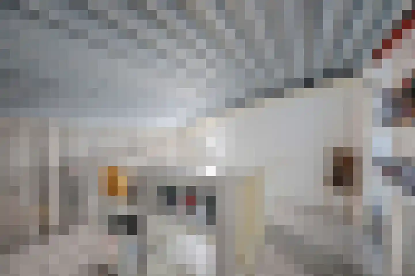 Platte Driedijk 63 Hoogvliet Rotterdam thumbnail 26