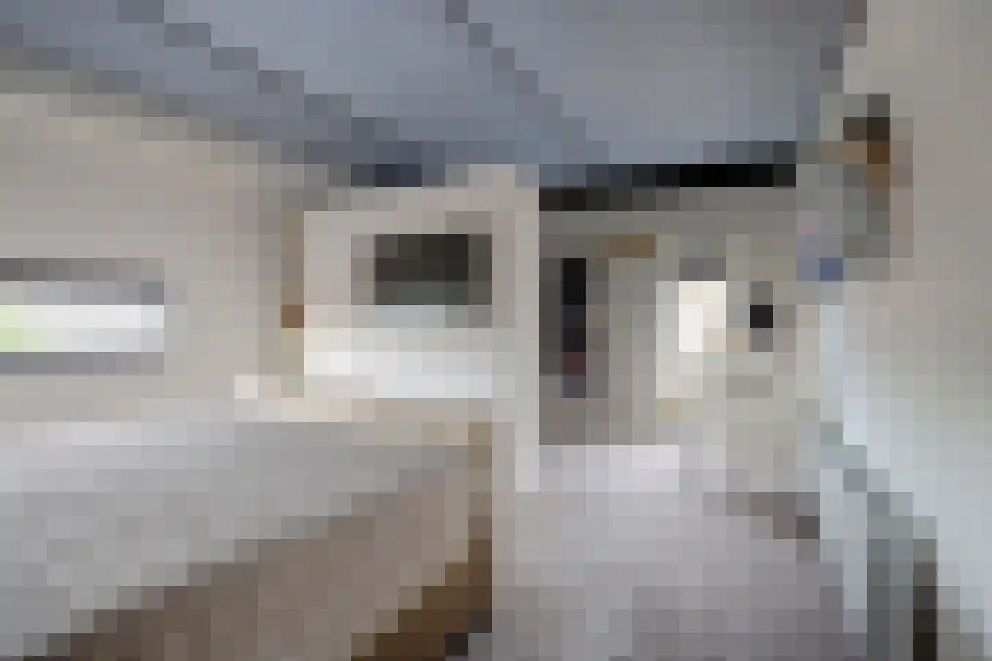 Platte Driedijk 63 Hoogvliet Rotterdam thumbnail 28