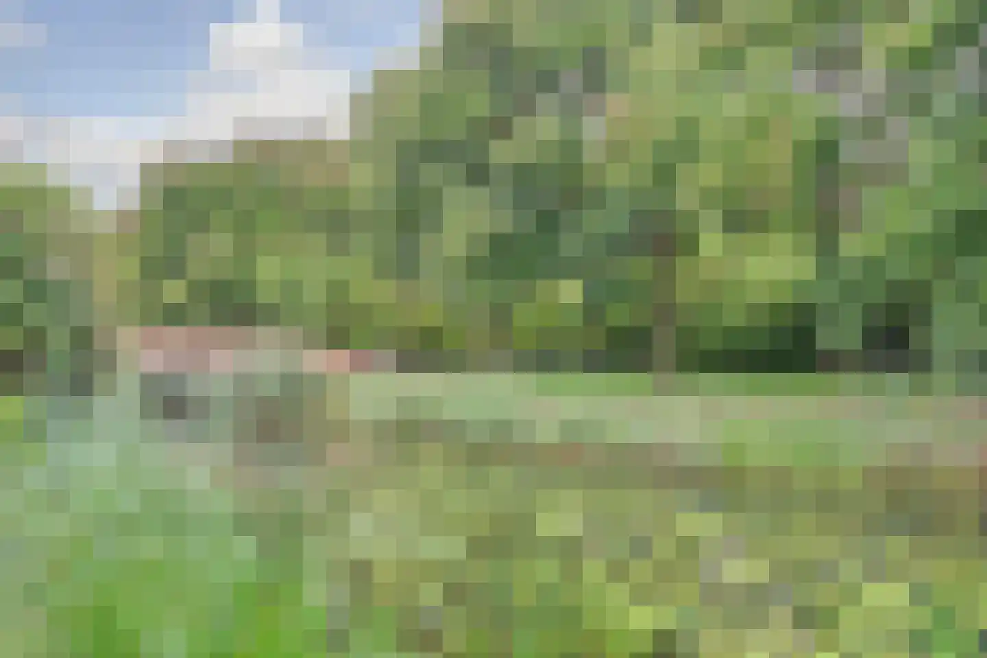 Platte Driedijk 63 Hoogvliet Rotterdam thumbnail 34