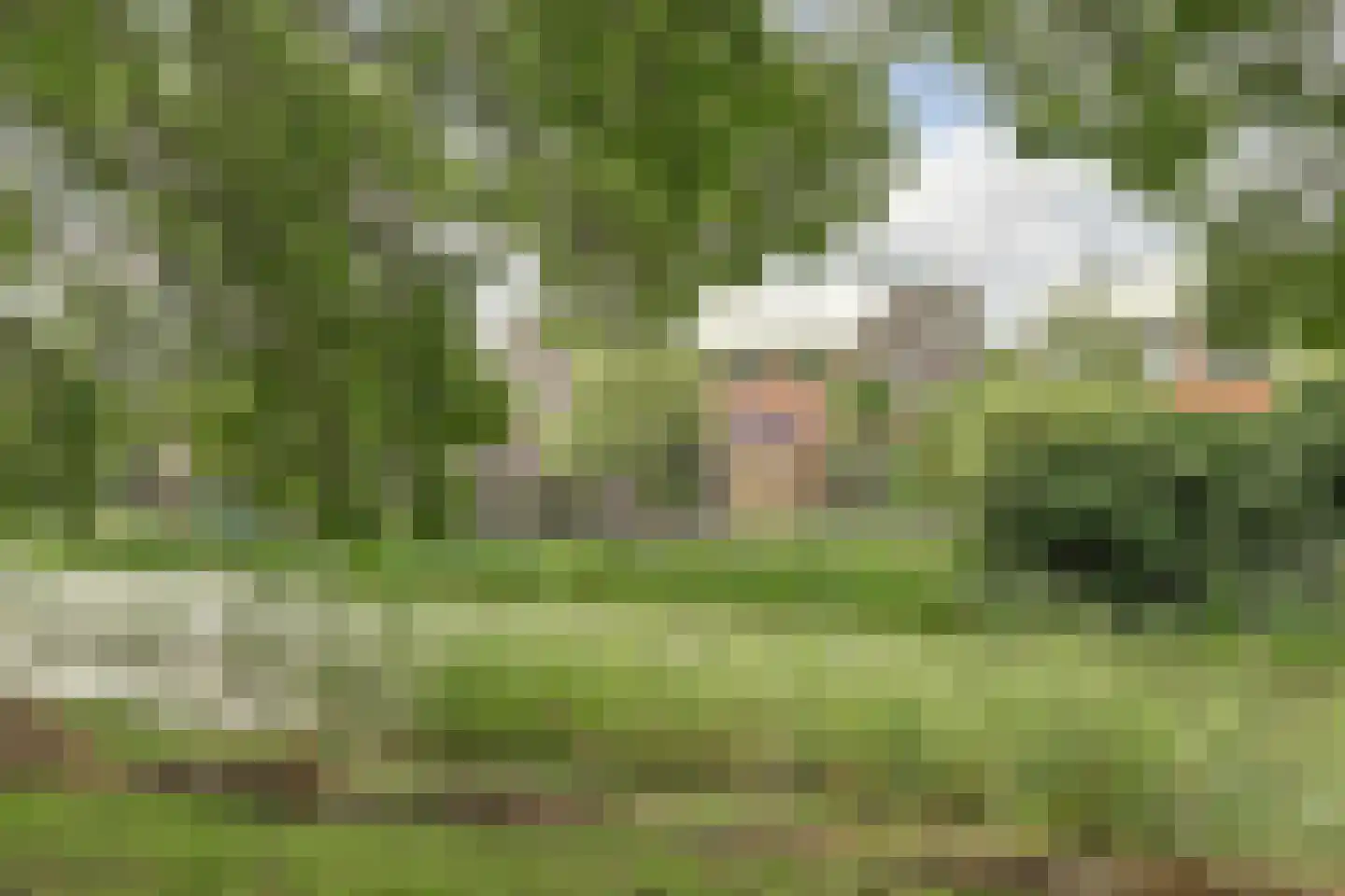 Platte Driedijk 63 Hoogvliet Rotterdam thumbnail 39