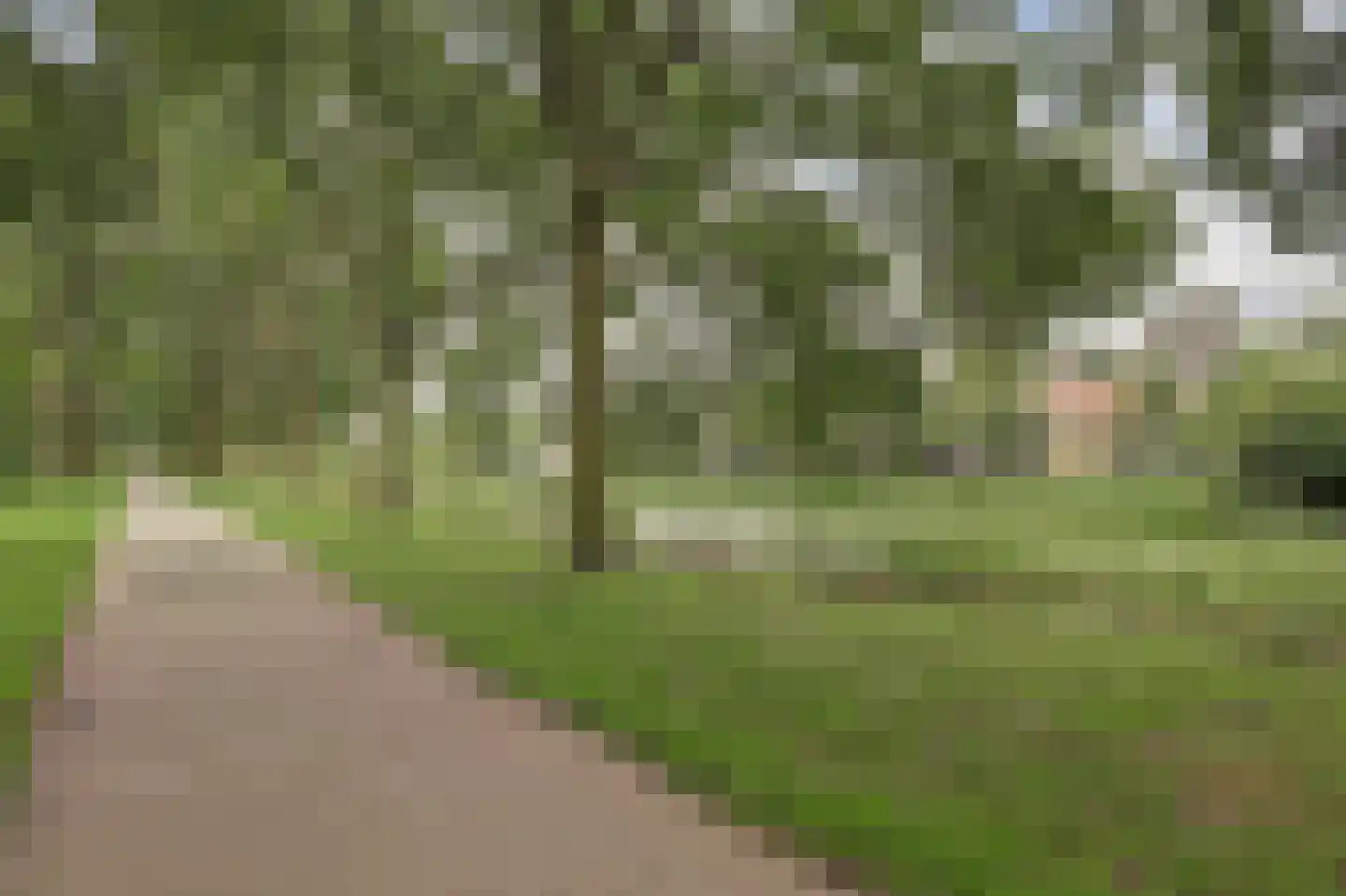 Platte Driedijk 63 Hoogvliet Rotterdam thumbnail 40