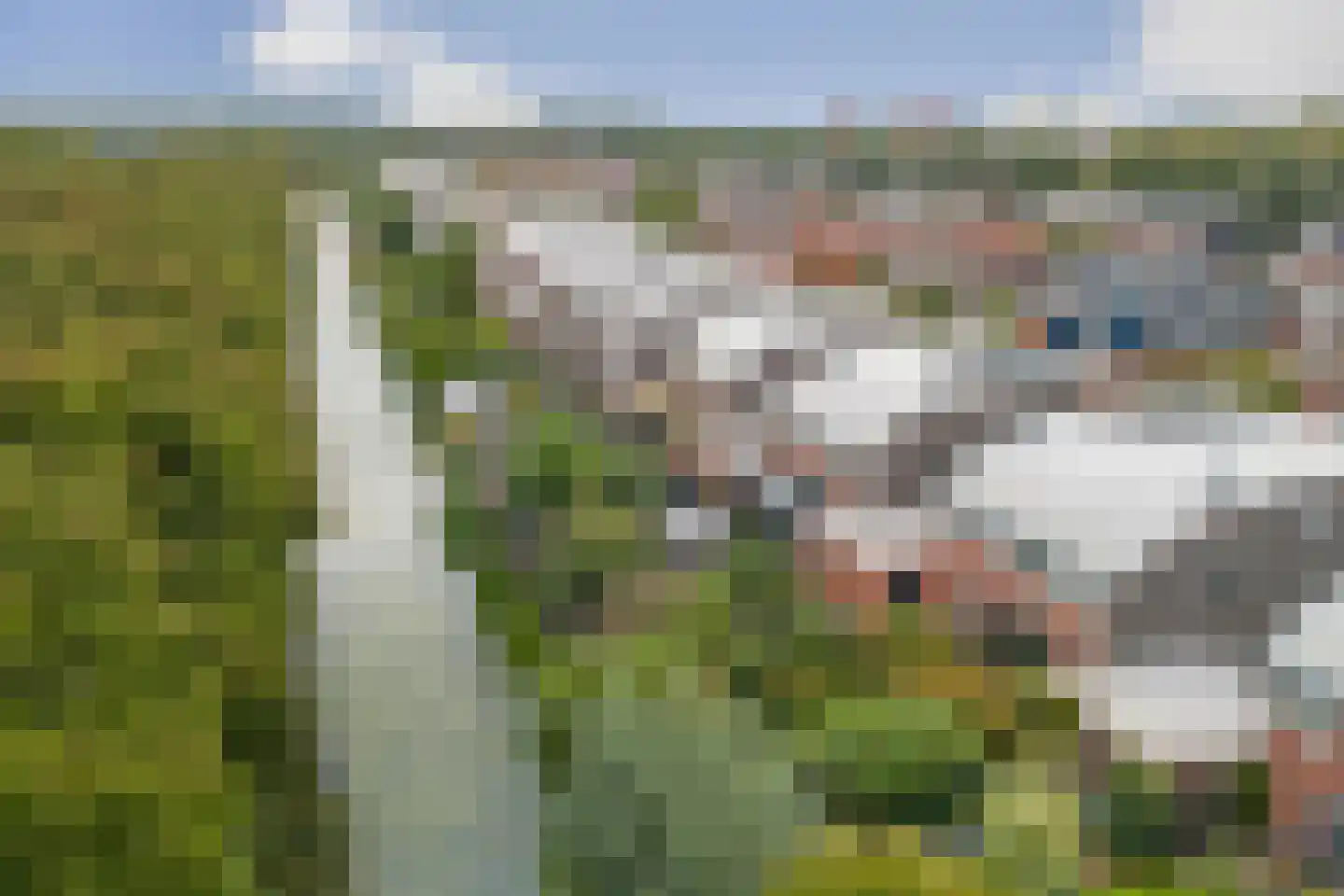 Platte Driedijk 63 Hoogvliet Rotterdam thumbnail 41