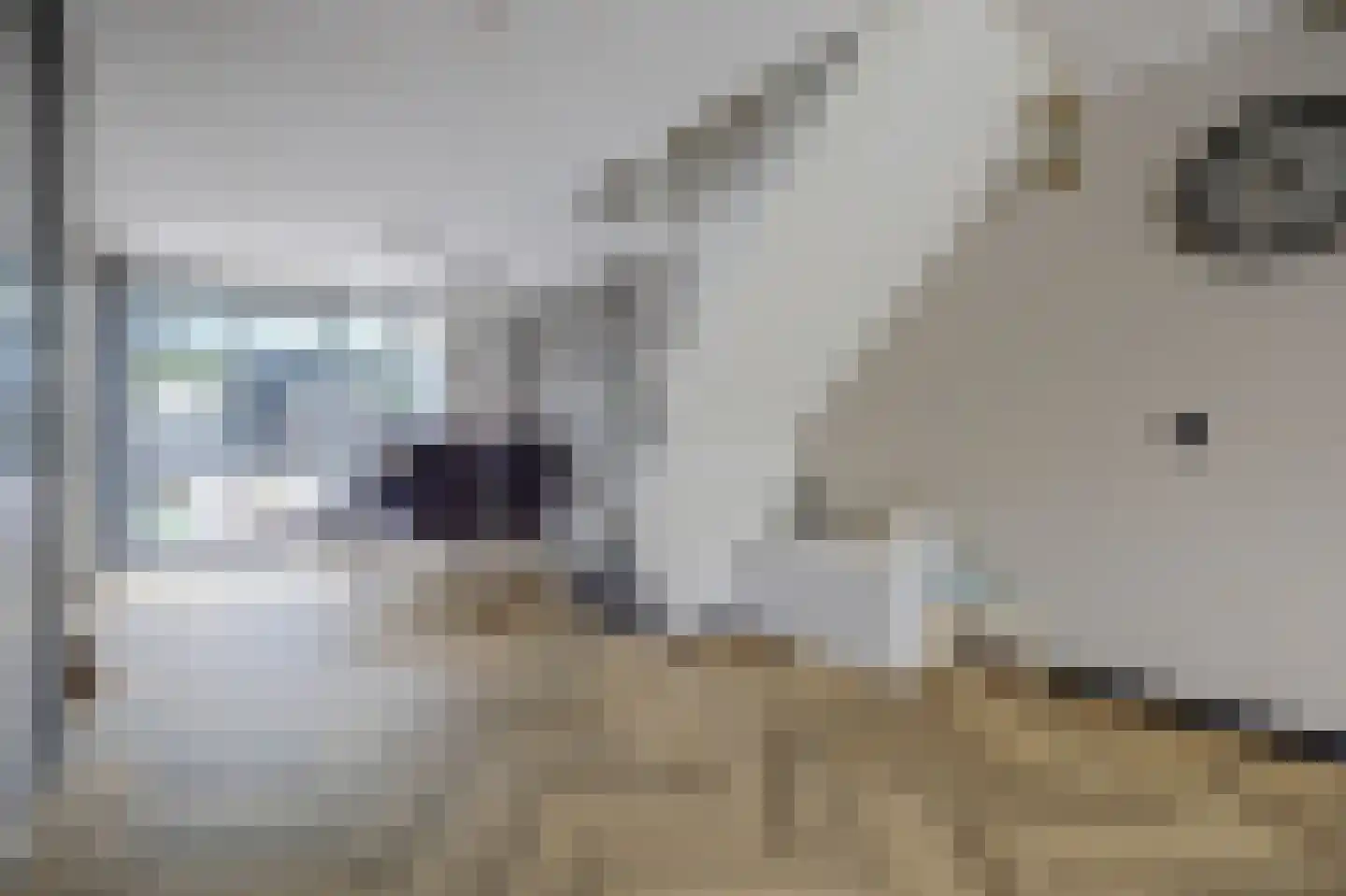 Platte Driedijk 63 Hoogvliet Rotterdam thumbnail 6