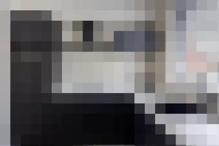 Platte Driedijk 77 Hoogvliet Rotterdam thumbnail 10