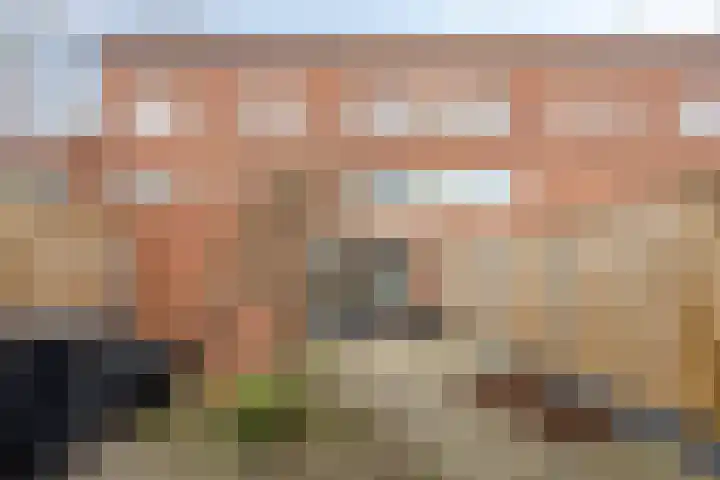Platte Driedijk 77 Hoogvliet Rotterdam thumbnail 14