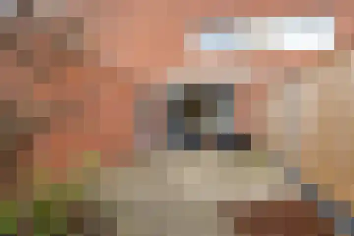 Platte Driedijk 77 Hoogvliet Rotterdam thumbnail 15