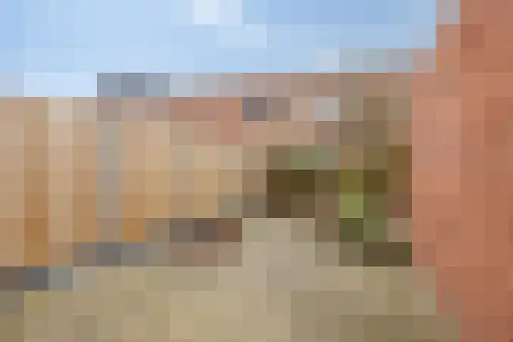 Platte Driedijk 77 Hoogvliet Rotterdam thumbnail 17