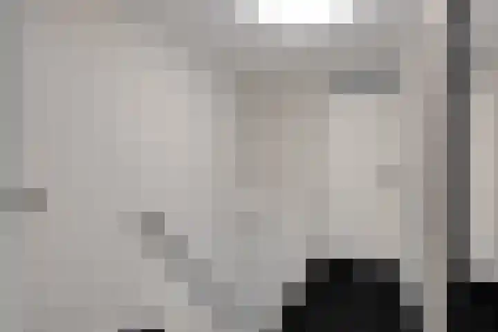 Platte Driedijk 77 Hoogvliet Rotterdam thumbnail 20