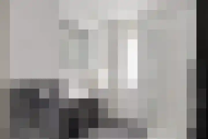 Platte Driedijk 77 Hoogvliet Rotterdam thumbnail 22