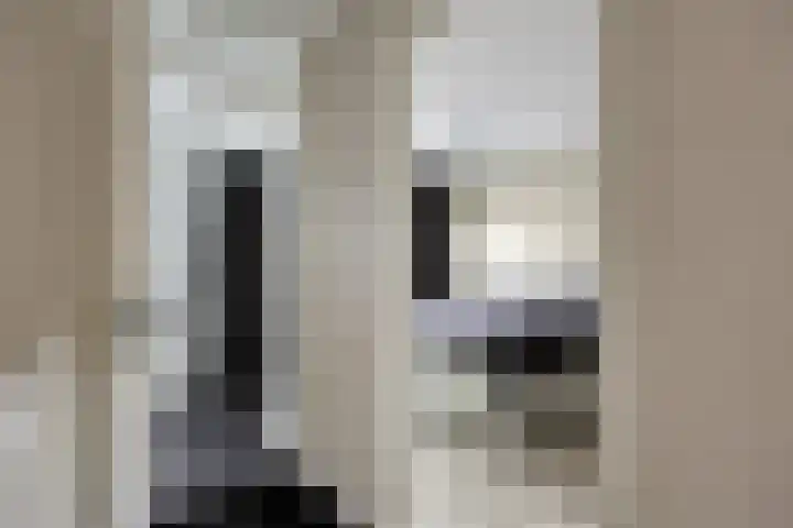Platte Driedijk 77 Hoogvliet Rotterdam thumbnail 25