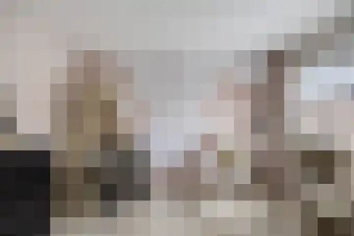 Platte Driedijk 77 Hoogvliet Rotterdam thumbnail 26