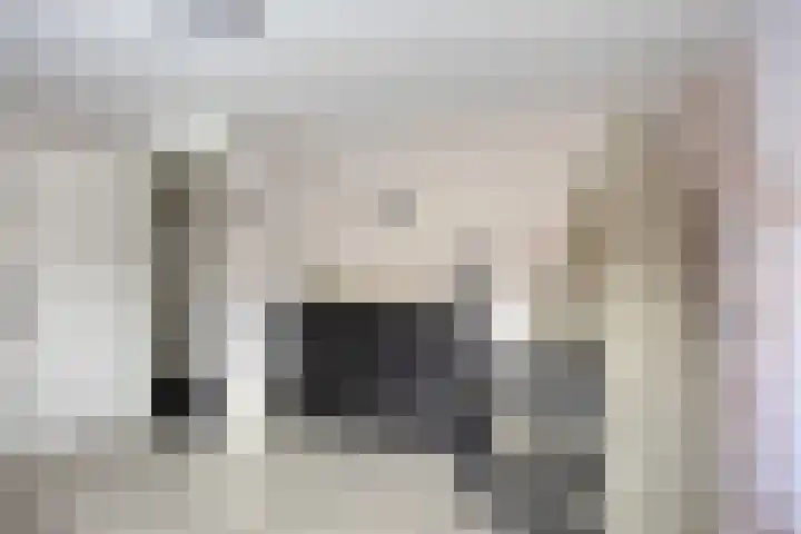 Platte Driedijk 77 Hoogvliet Rotterdam thumbnail 28