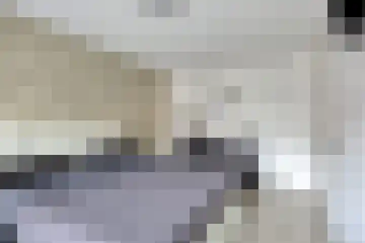 Platte Driedijk 77 Hoogvliet Rotterdam thumbnail 31