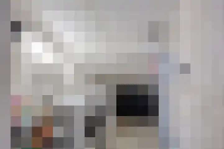 Platte Driedijk 77 Hoogvliet Rotterdam thumbnail 33