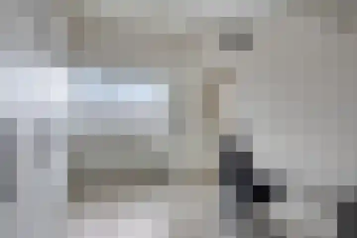 Platte Driedijk 77 Hoogvliet Rotterdam thumbnail 34