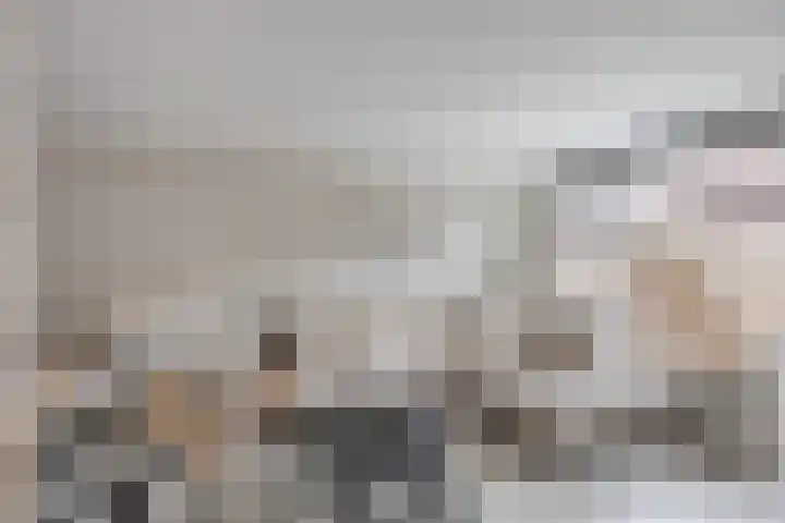 Platte Driedijk 77 Hoogvliet Rotterdam thumbnail 4