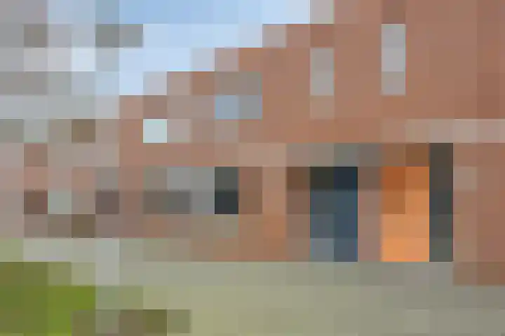 Platte Driedijk 77 Hoogvliet Rotterdam thumbnail 40