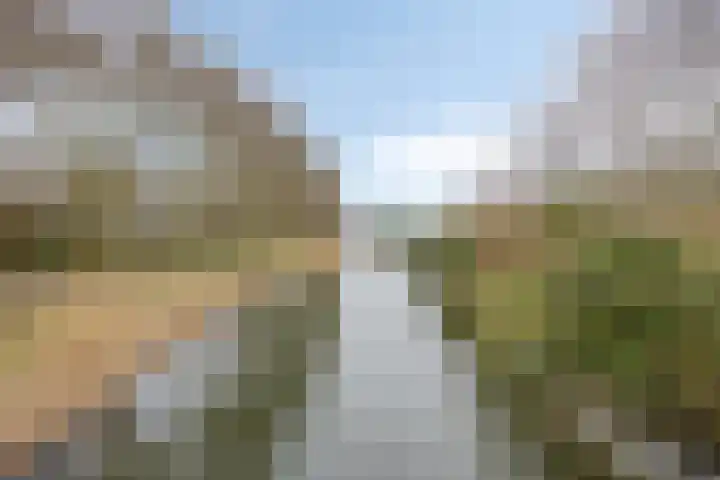 Platte Driedijk 77 Hoogvliet Rotterdam thumbnail 43