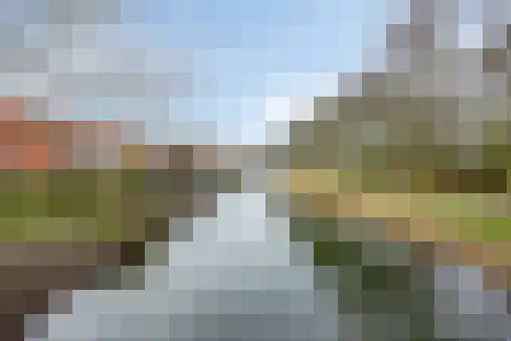 Platte Driedijk 77 Hoogvliet Rotterdam thumbnail 44