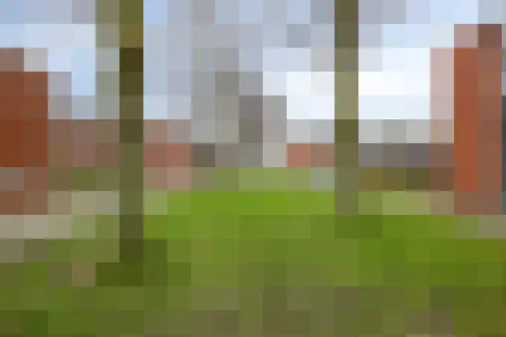 Platte Driedijk 77 Hoogvliet Rotterdam thumbnail 46