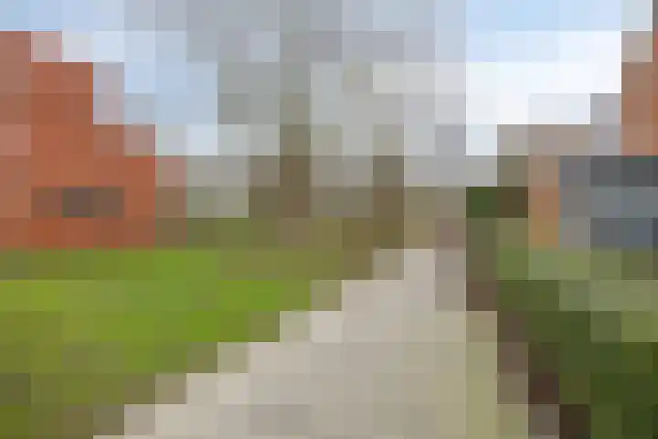 Platte Driedijk 77 Hoogvliet Rotterdam thumbnail 47