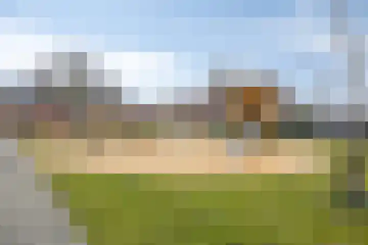 Platte Driedijk 77 Hoogvliet Rotterdam thumbnail 49