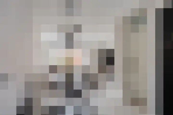 Platte Driedijk 77 Hoogvliet Rotterdam thumbnail 6