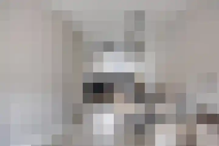 Platte Driedijk 77 Hoogvliet Rotterdam thumbnail 7
