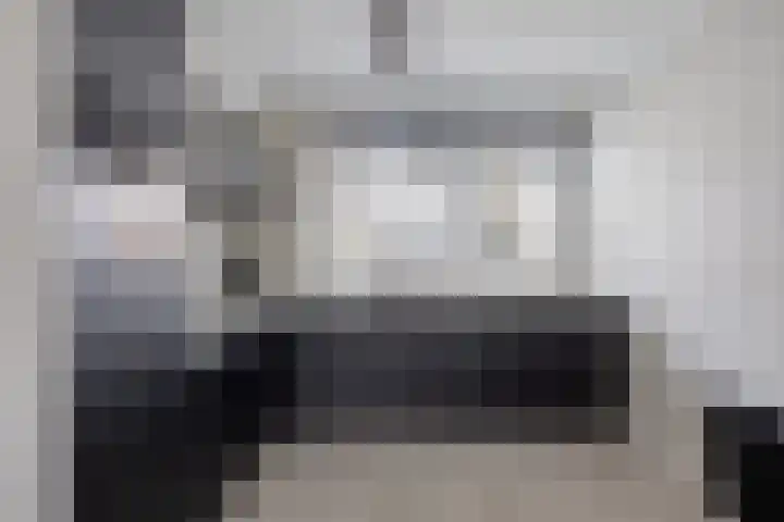 Platte Driedijk 77 Hoogvliet Rotterdam thumbnail 9