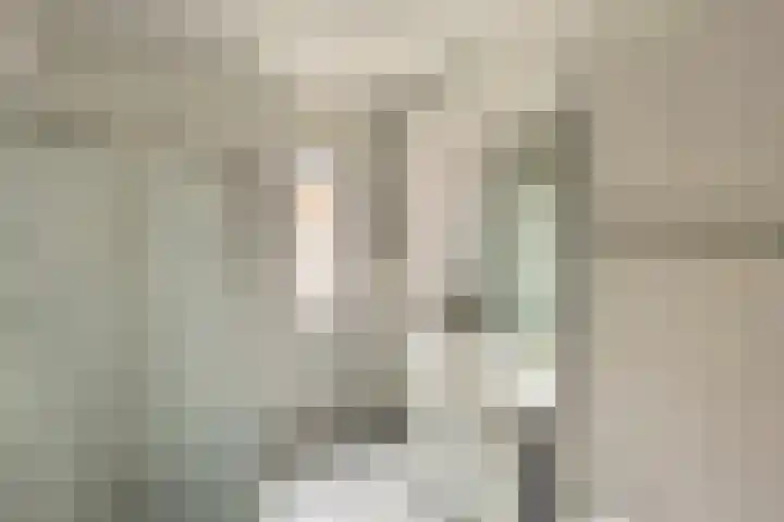Platte Driedijk 9 Hoogvliet Rotterdam thumbnail 10