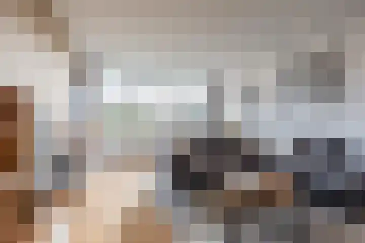 Platte Driedijk 9 Hoogvliet Rotterdam thumbnail 13