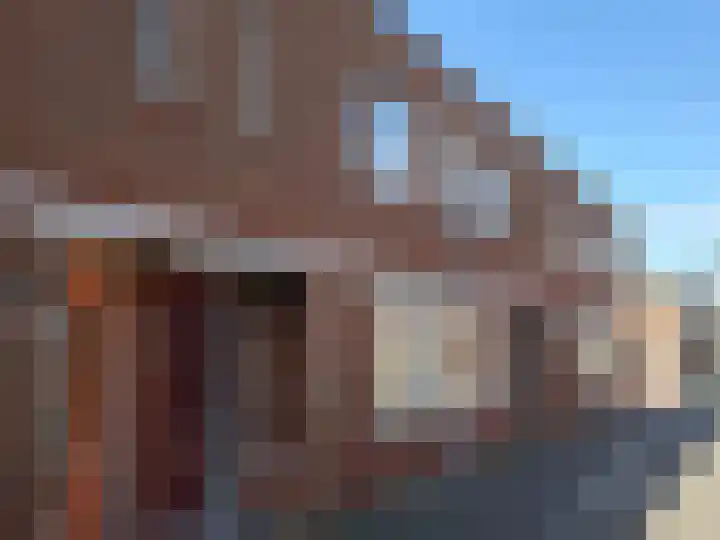 Platte Driedijk 9 Hoogvliet Rotterdam thumbnail 25