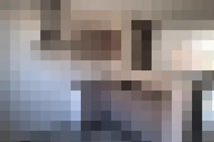 Platte Driedijk 9 Hoogvliet Rotterdam thumbnail 4