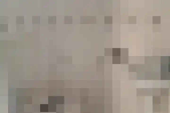Platte Driedijk 9 Hoogvliet Rotterdam thumbnail 6