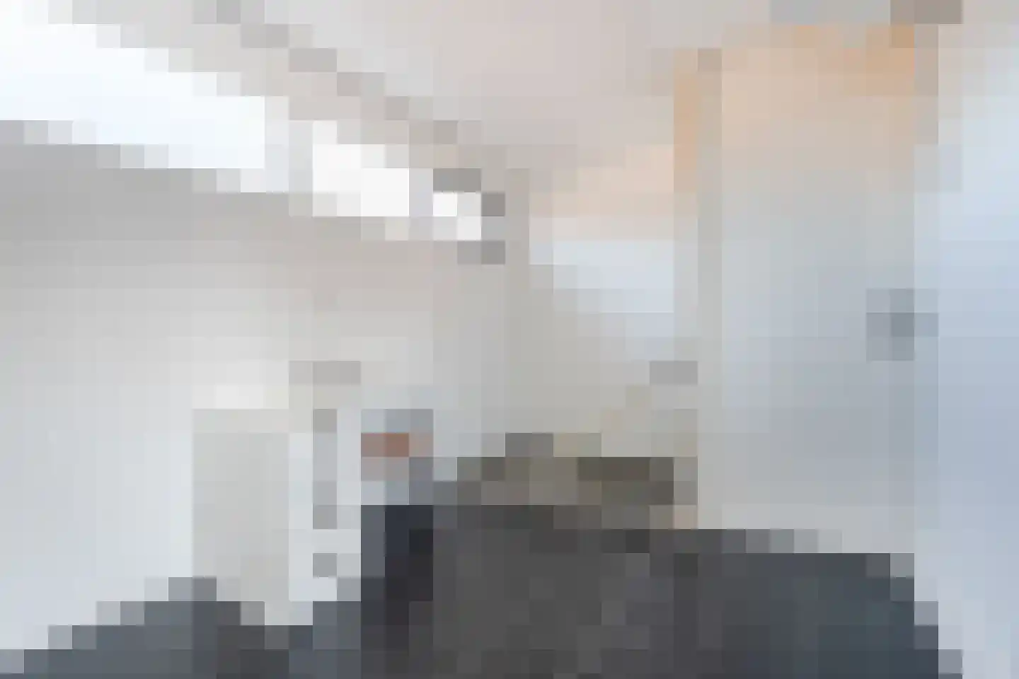 Platte Drogedijk 16 Hoogvliet Rotterdam thumbnail 32