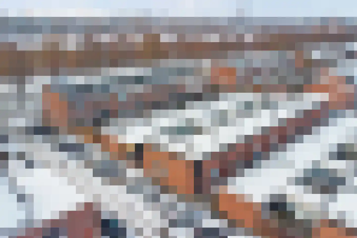 Platte Drogedijk 2 Hoogvliet Rotterdam thumbnail 22
