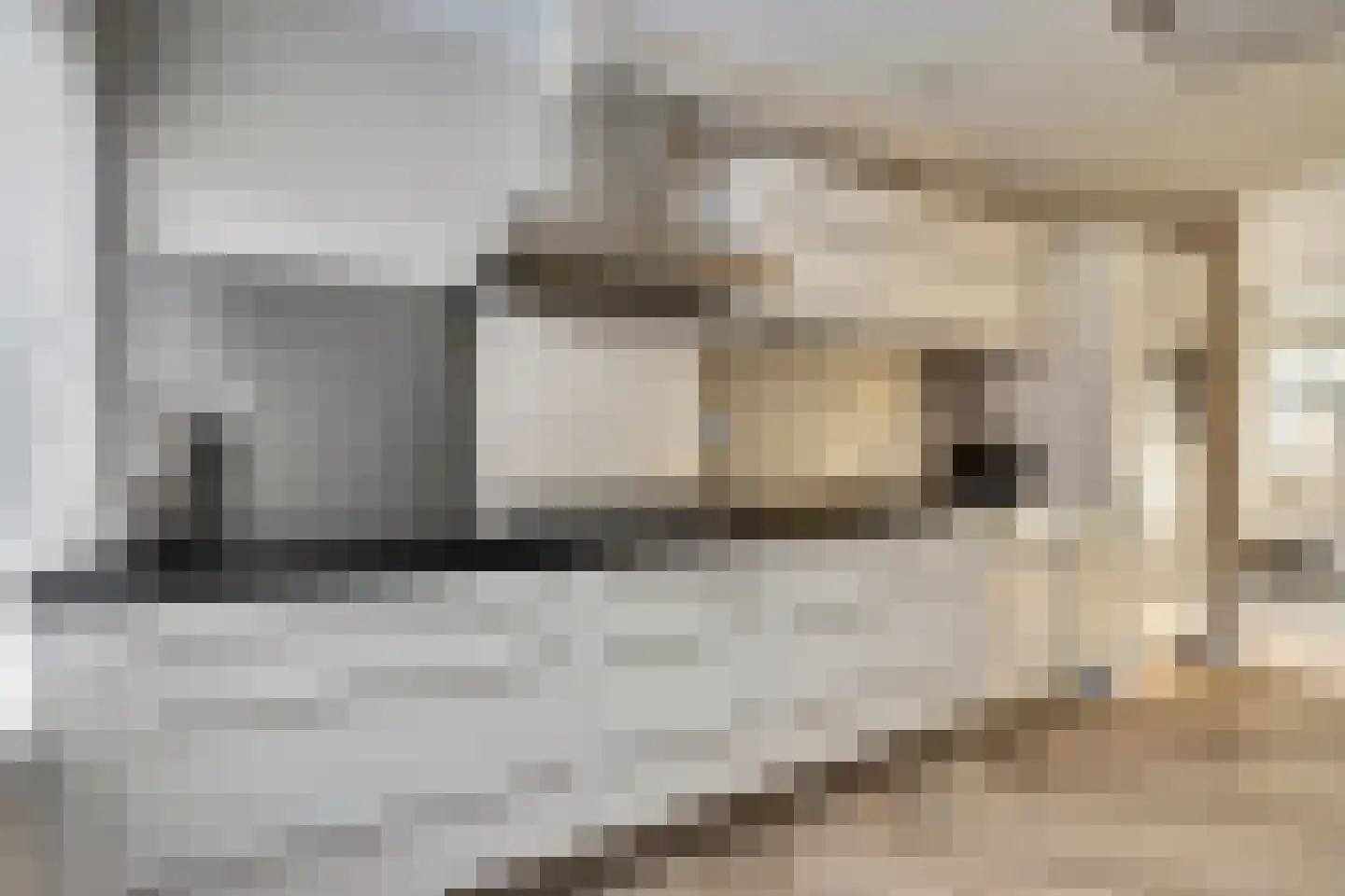 Platte Drogedijk 2 Hoogvliet Rotterdam thumbnail 4