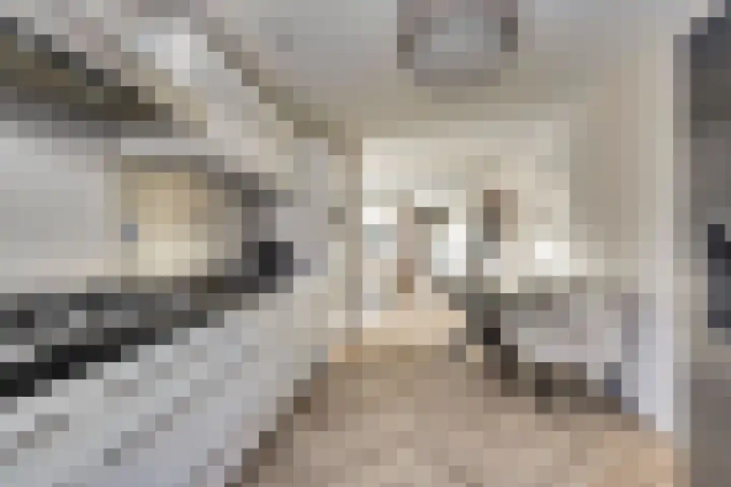 Platte Drogedijk 2 Hoogvliet Rotterdam thumbnail 5