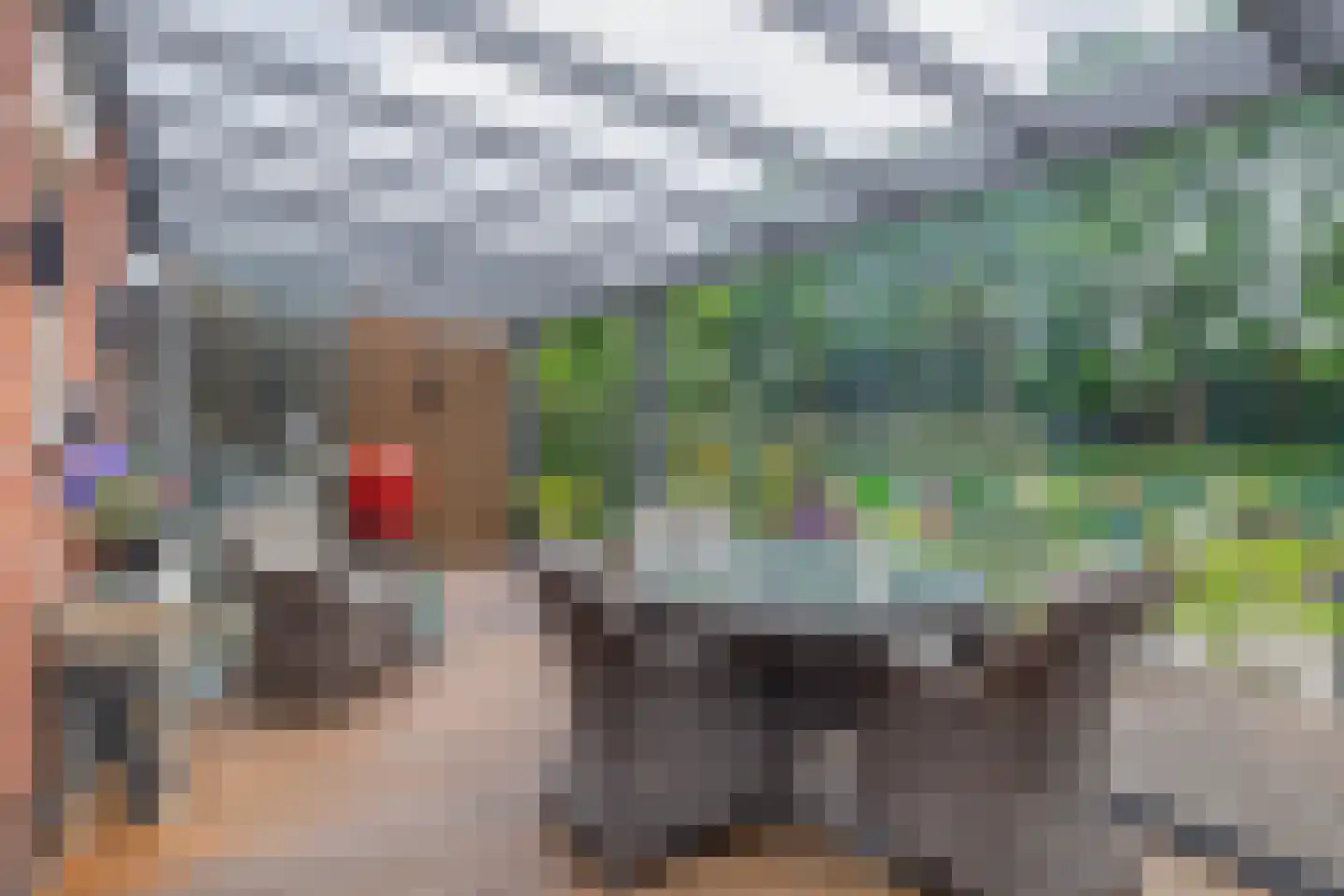 Platte Drogedijk 39 Hoogvliet Rotterdam thumbnail 25