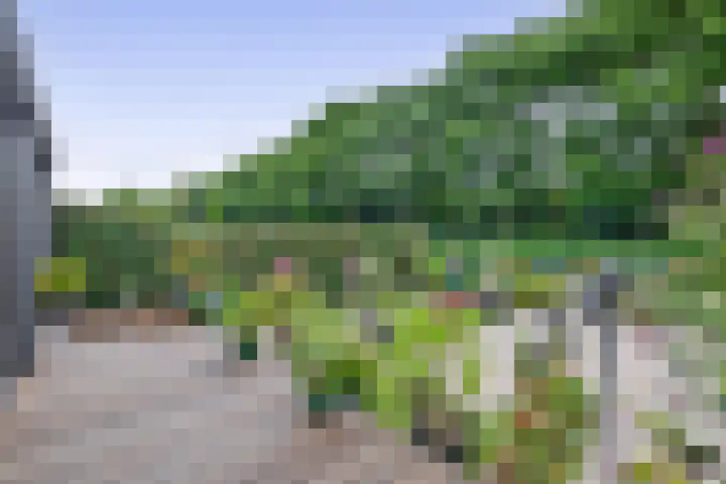 Platte Drogedijk 39 Hoogvliet Rotterdam thumbnail 27