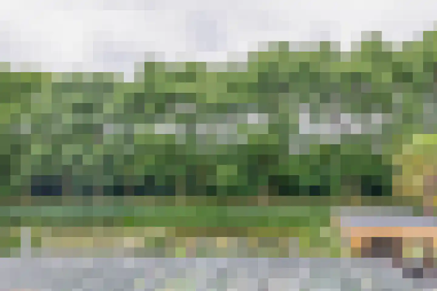 Platte Drogedijk 39 Hoogvliet Rotterdam thumbnail 41