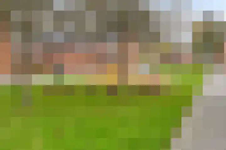 Platte Molendijk 73 Hoogvliet Rotterdam thumbnail 5