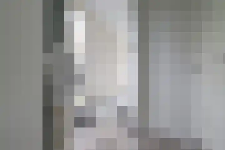 Platte Molendijk 8 Hoogvliet Rotterdam thumbnail 11